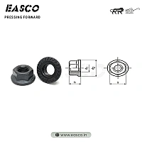 Flange Nut