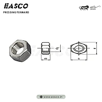 Hexagonal Nut
